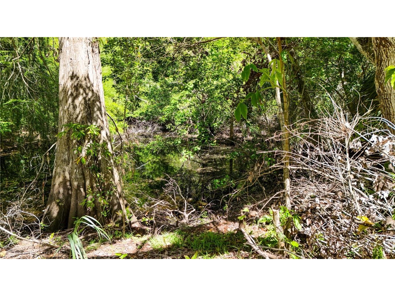 9240 Creston Avenue New Port Richey FL 34654 W7873730 image12