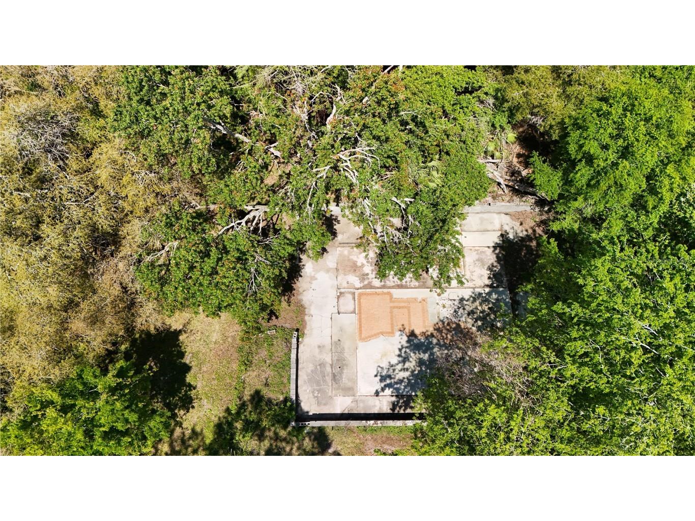 9240 Creston Avenue New Port Richey FL 34654 W7873730 image17