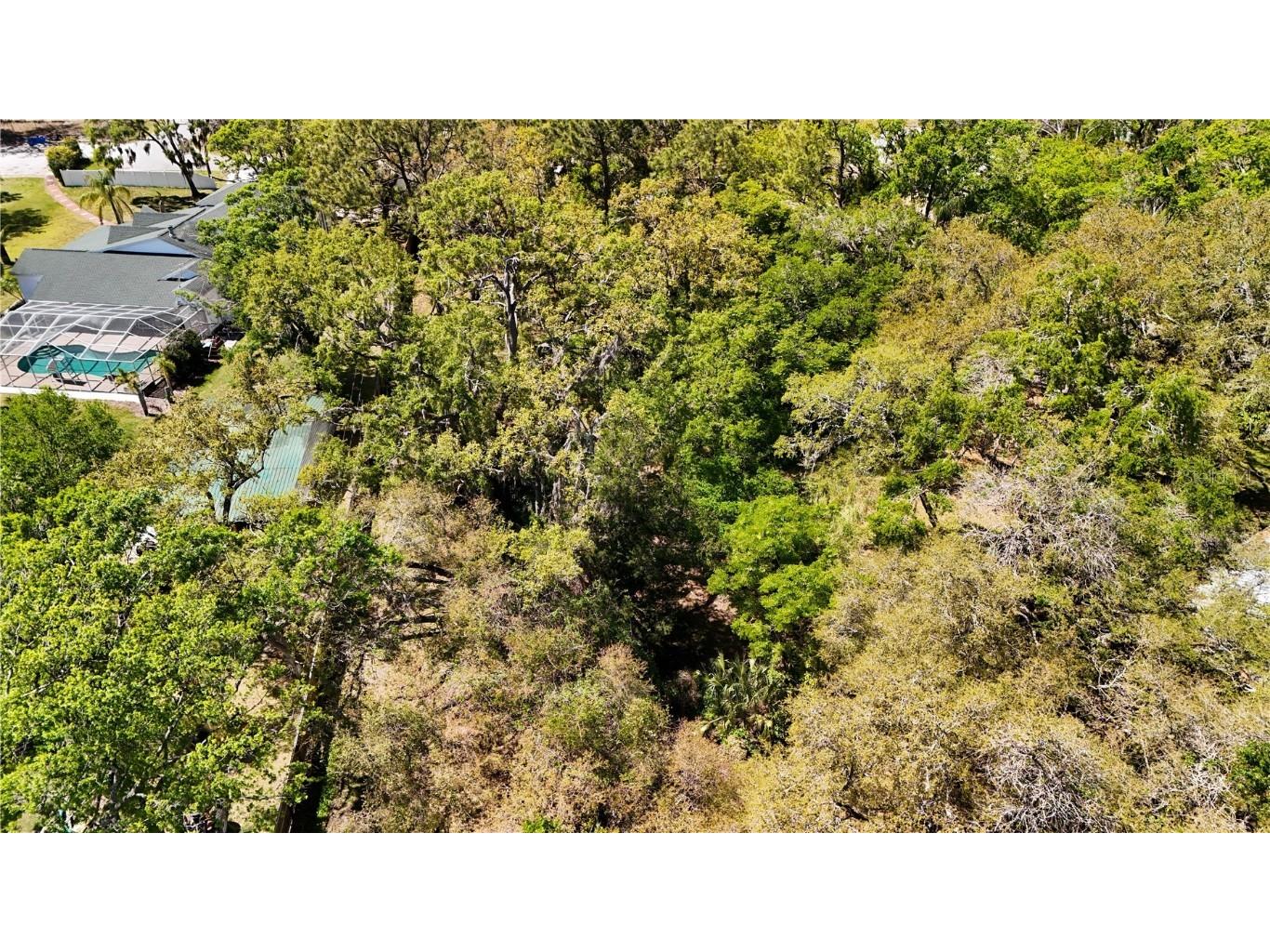 9240 Creston Avenue New Port Richey FL 34654 W7873730 image18