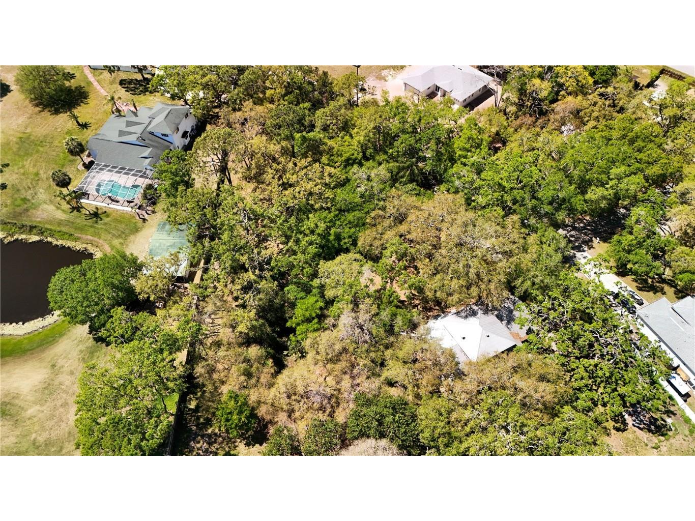 9240 Creston Avenue New Port Richey FL 34654 W7873730 image19