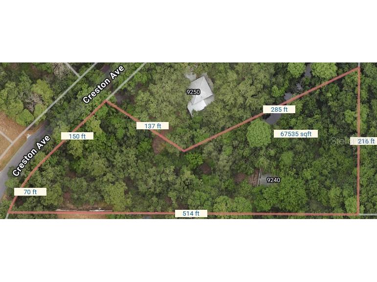 9240 Creston Avenue New Port Richey FL 34654 W7873730 image2