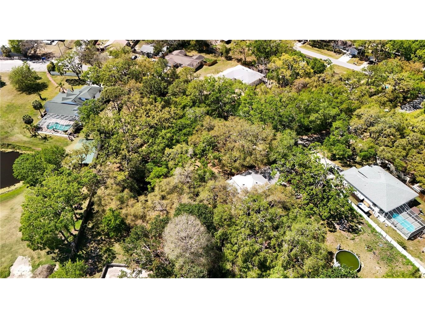 9240 Creston Avenue New Port Richey FL 34654 W7873730 image20