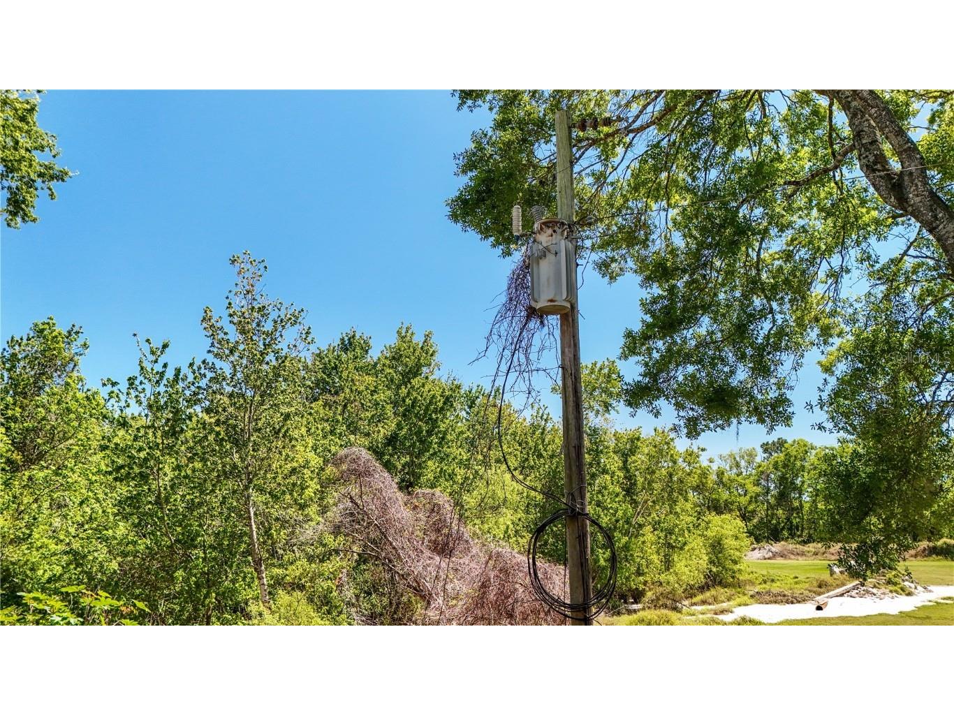 9240 Creston Avenue New Port Richey FL 34654 W7873730 image22