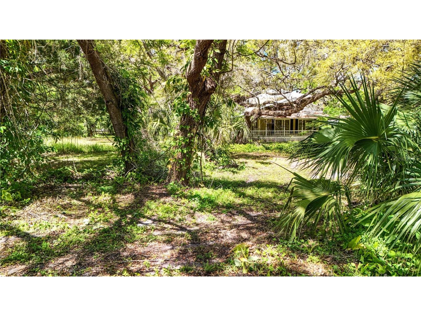 9240 Creston Avenue New Port Richey FL 34654 W7873730 image24