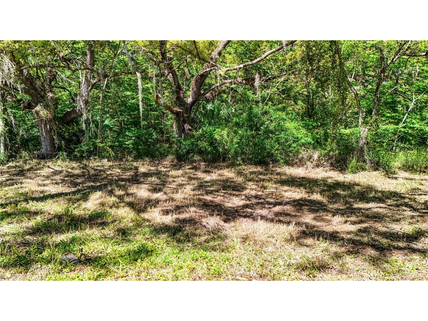 9240 Creston Avenue New Port Richey FL 34654 W7873730 image25