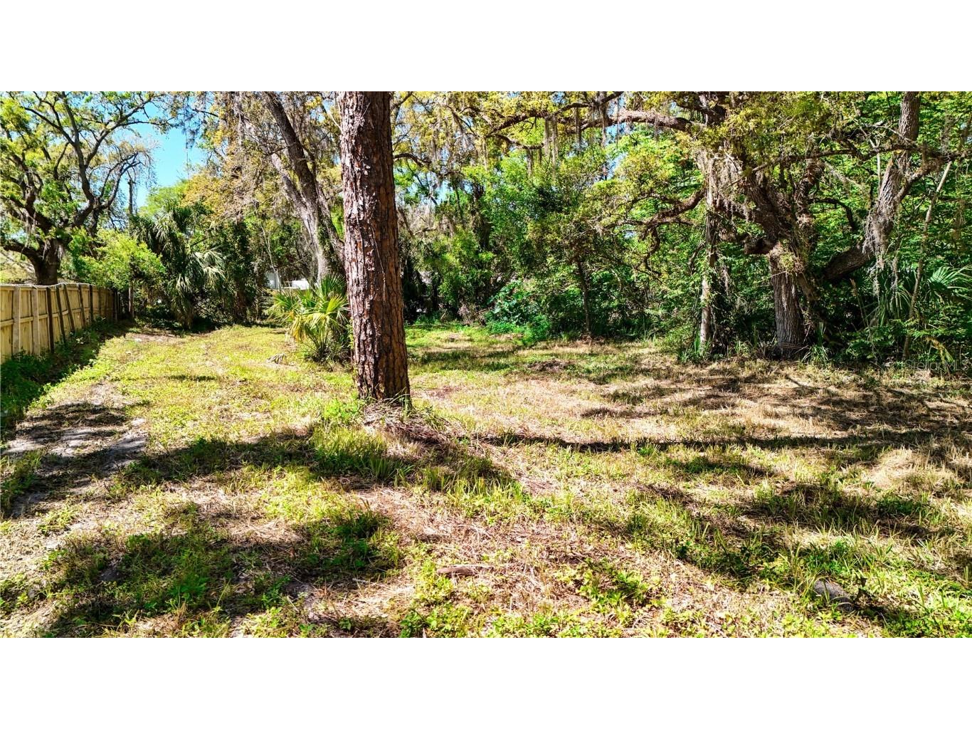 9240 Creston Avenue New Port Richey FL 34654 W7873730 image26