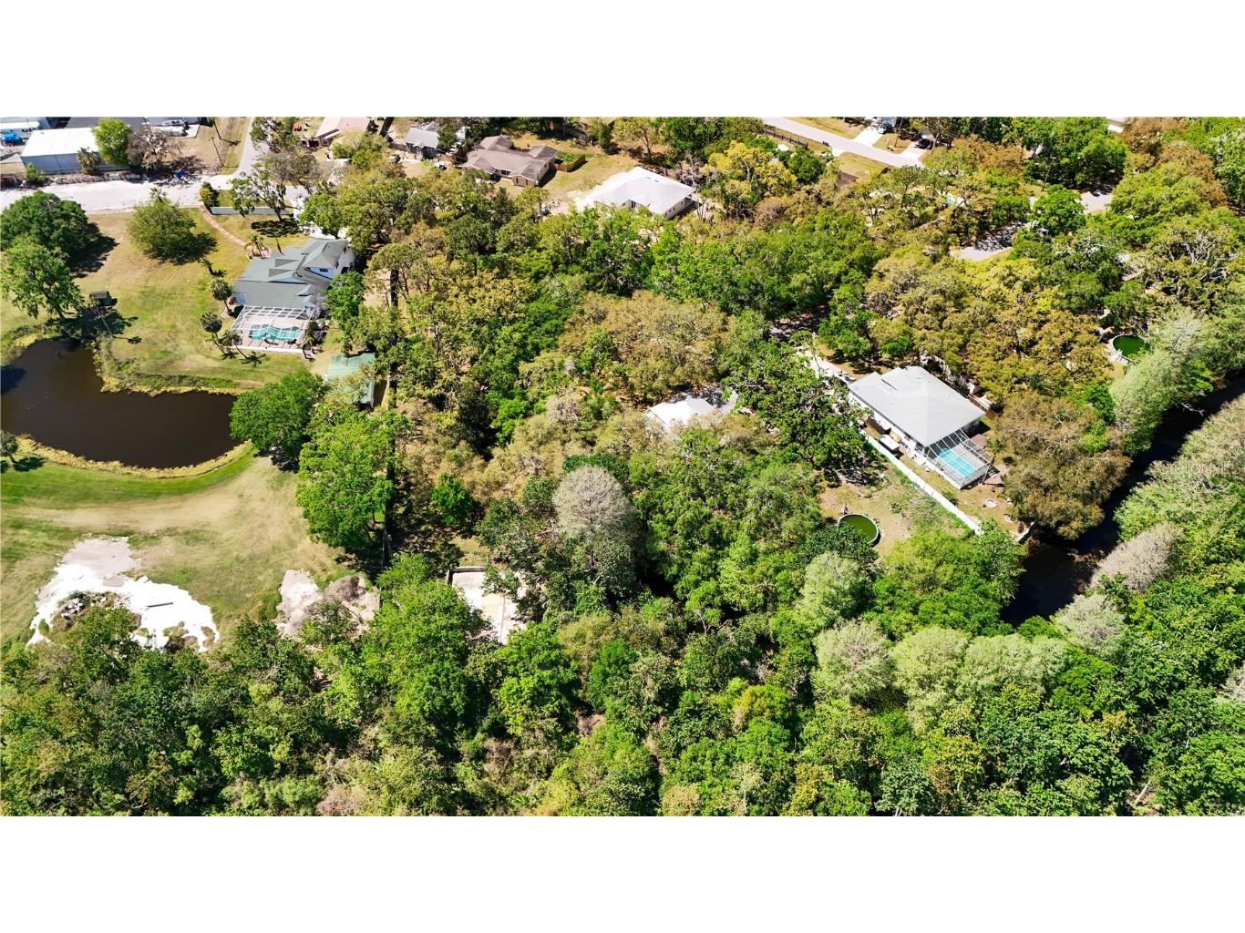 9240 Creston Avenue New Port Richey FL 34654 W7873730 image5