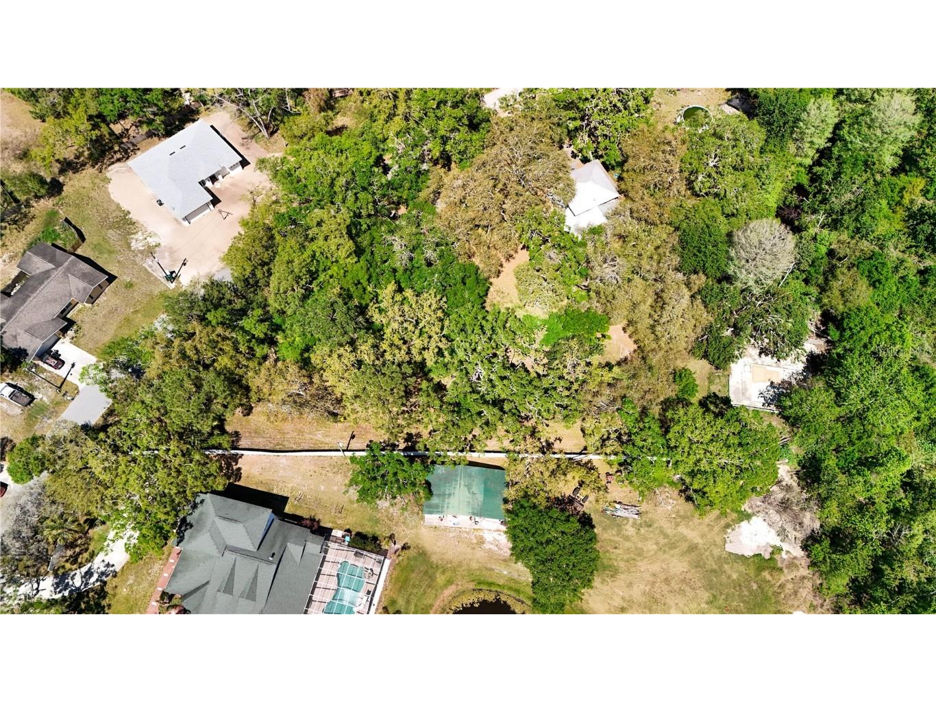 9240 Creston Avenue New Port Richey FL 34654 W7873730 image6