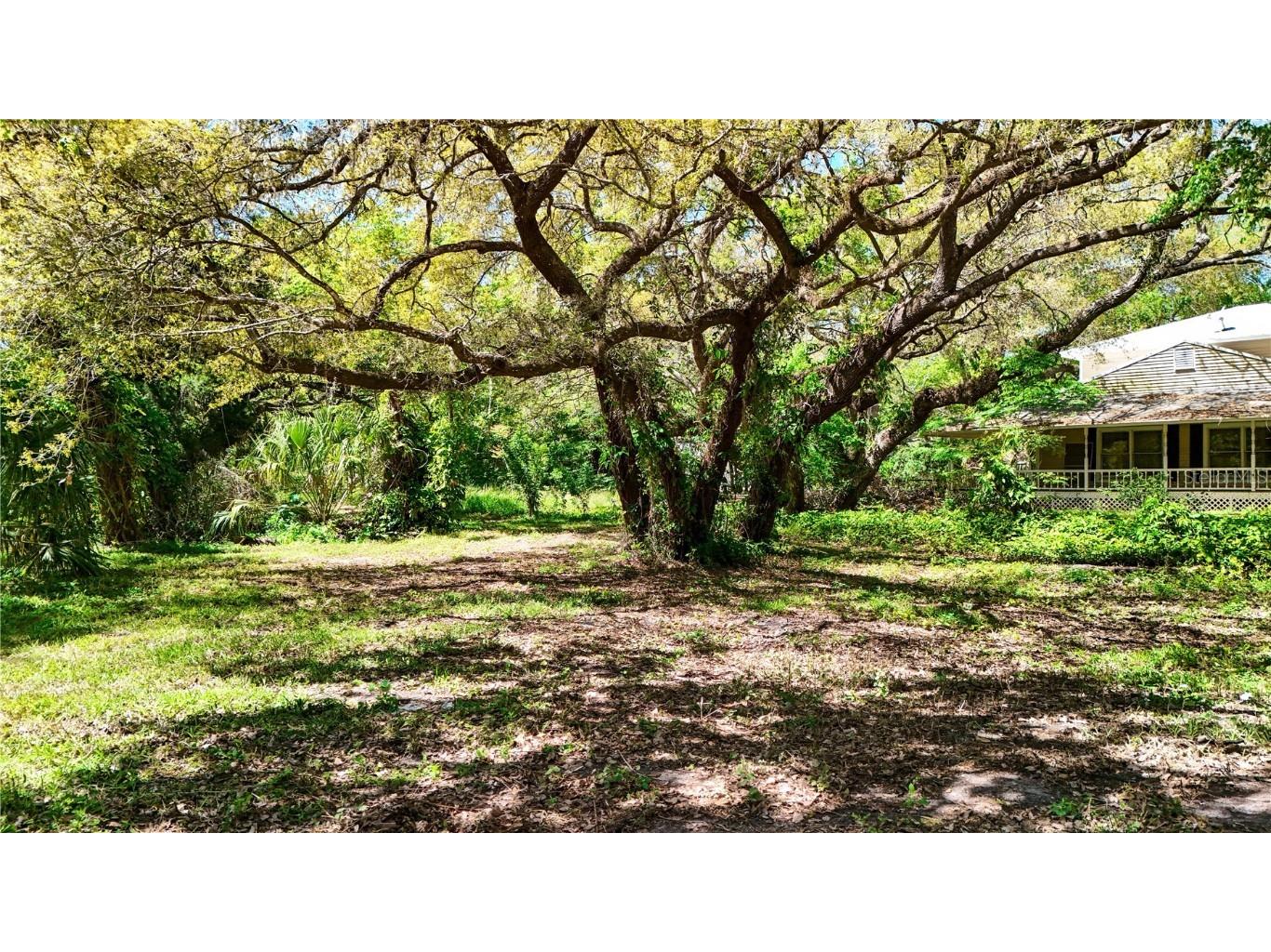 9240 Creston Avenue New Port Richey FL 34654 W7873730 image9