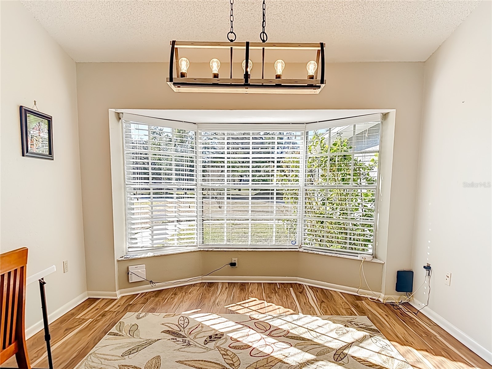 9241 Angora Street Spring Hill FL 34608 O6378651 image16