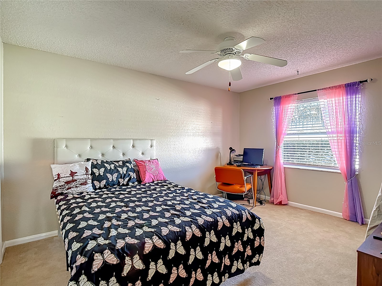 9241 Angora Street Spring Hill FL 34608 O6378651 image22