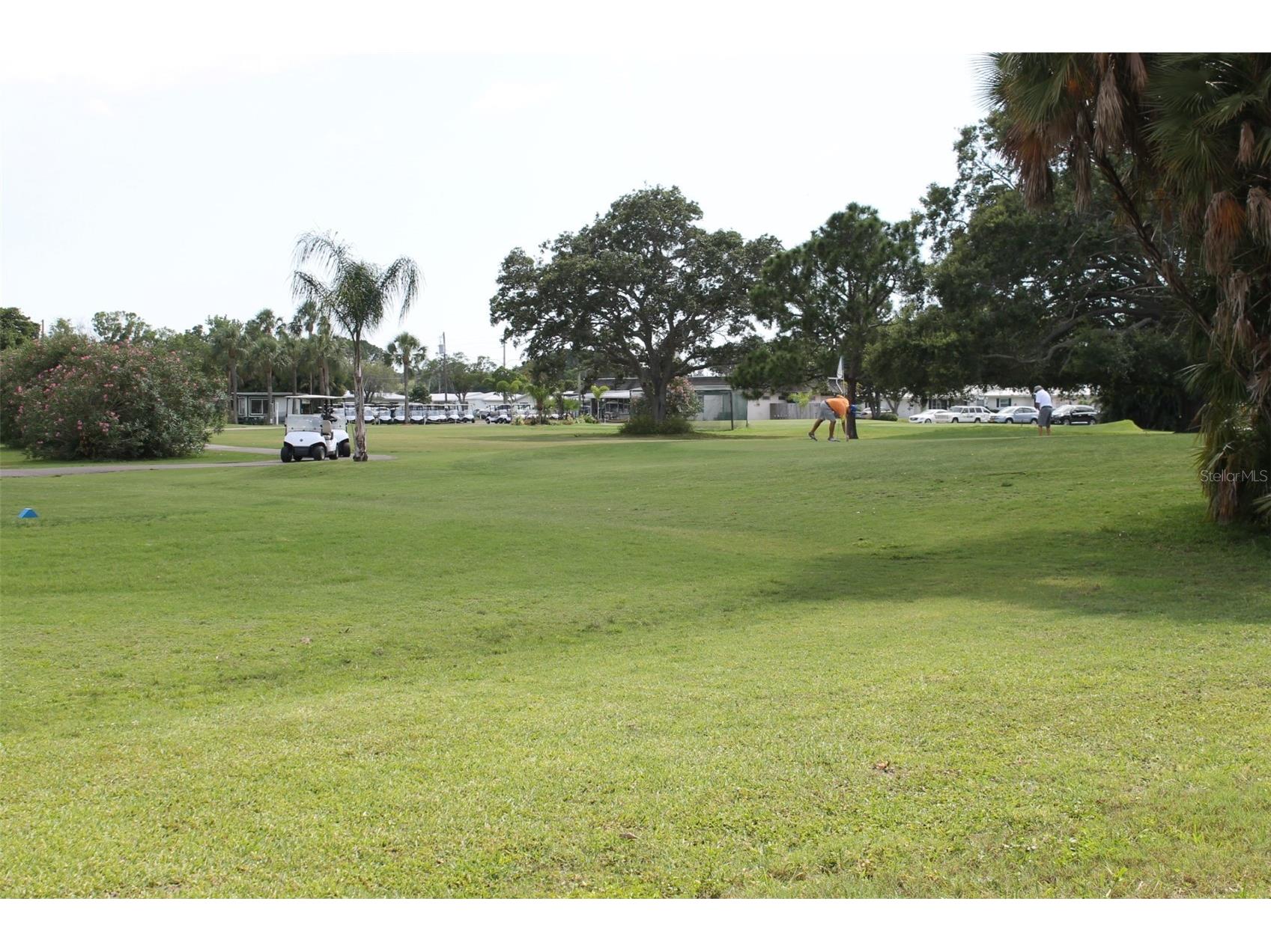 9242 36th Street N Pinellas Park FL 33782 TB8458515 image46
