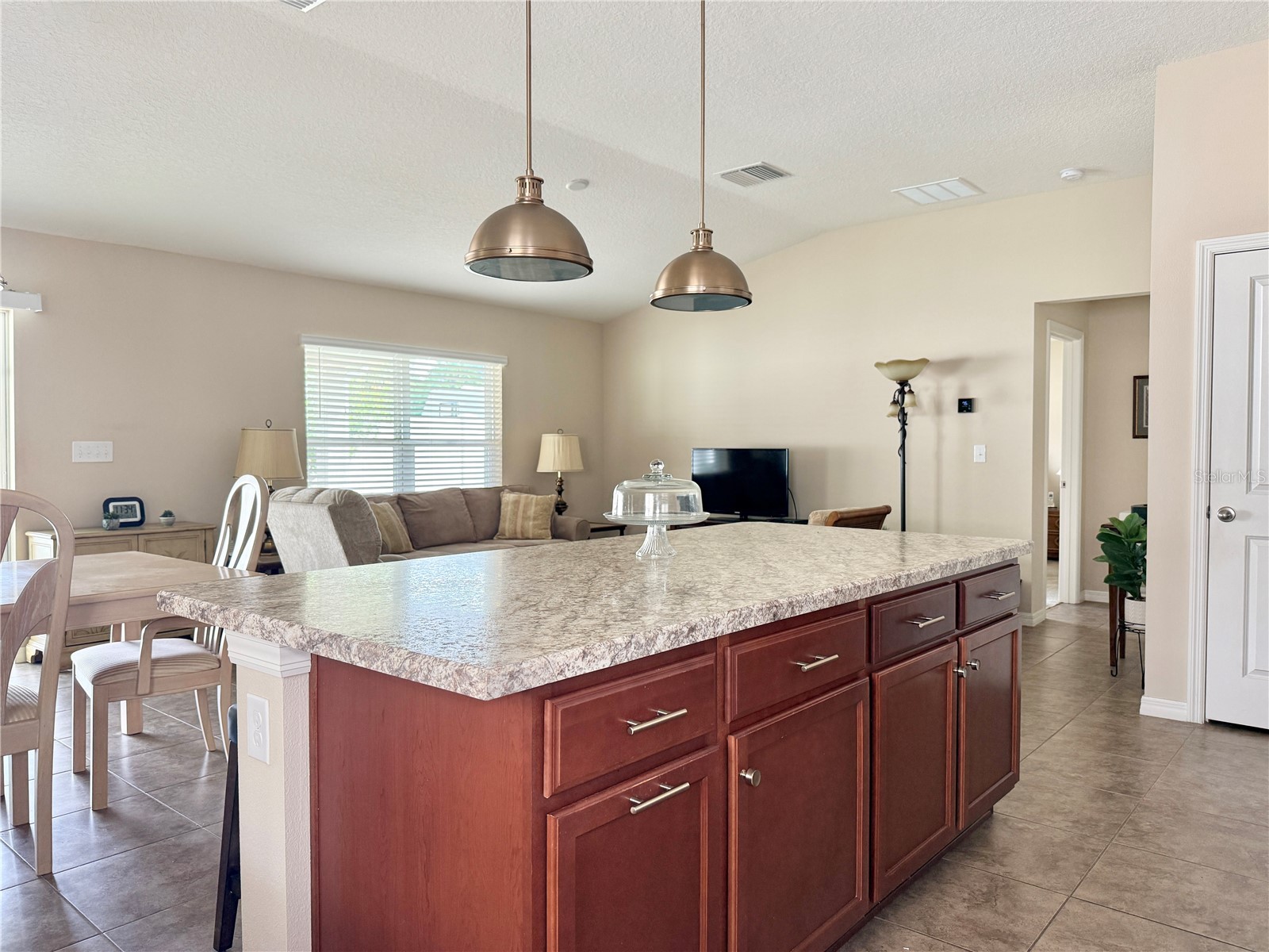 9242 Freedom Hill Dr Seffner FL 33584 TB8493490 image11