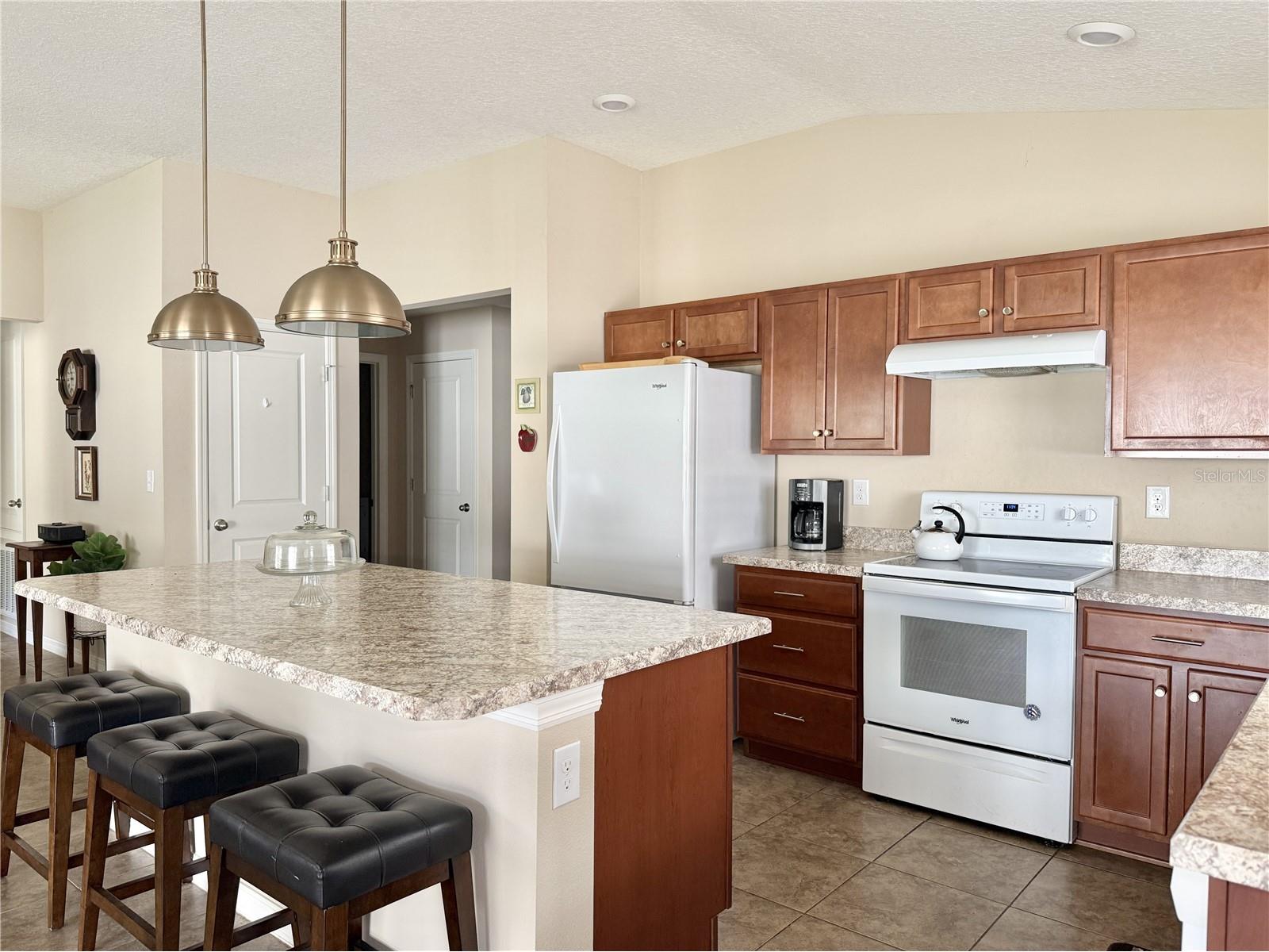 9242 Freedom Hill Dr Seffner FL 33584 TB8493490 image12