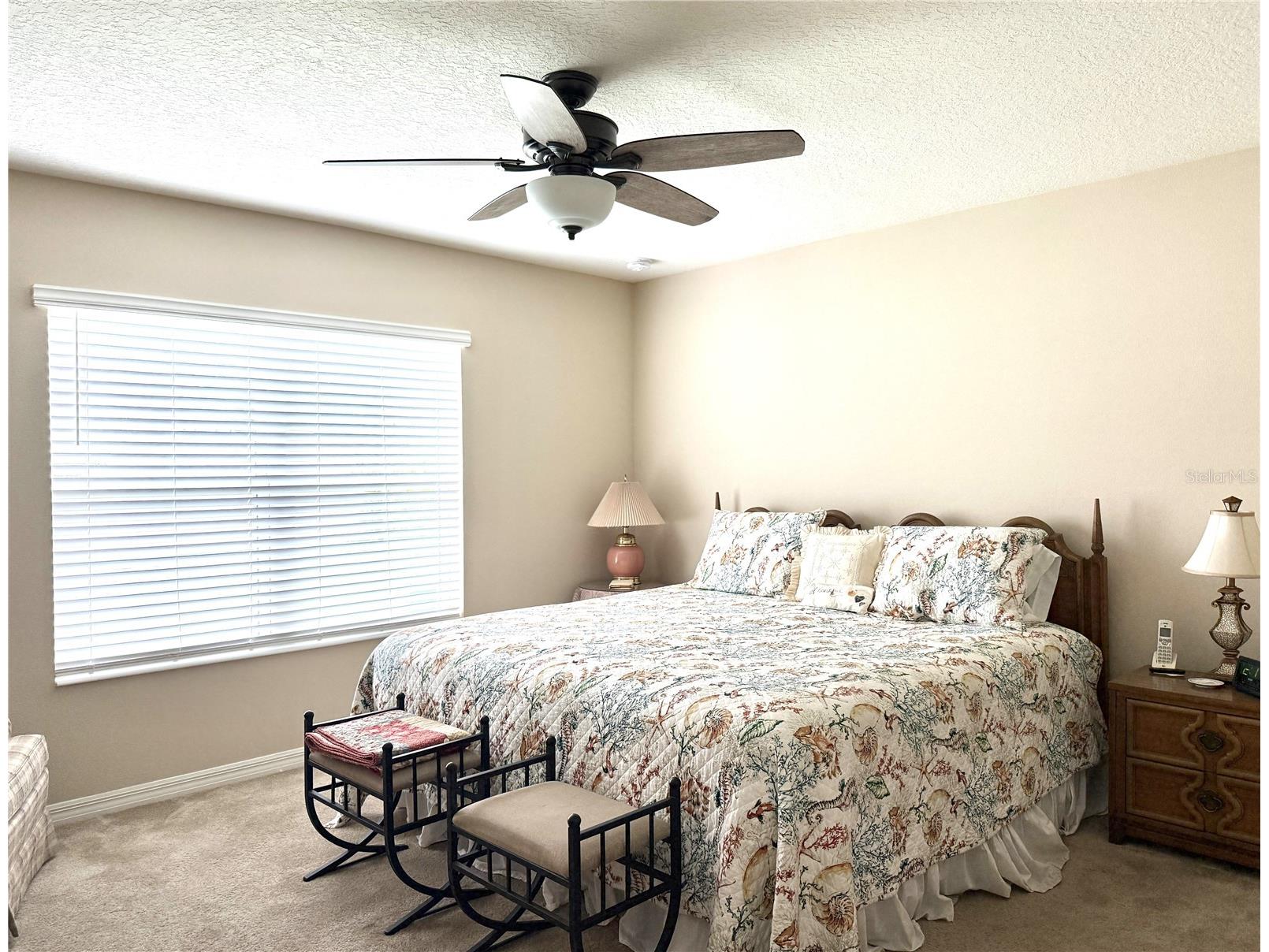 9242 Freedom Hill Dr Seffner FL 33584 TB8493490 image13