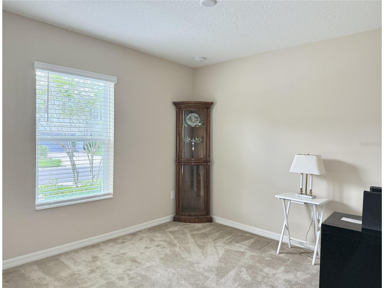 9242 Freedom Hill Dr Seffner FL 33584 TB8493490 image21