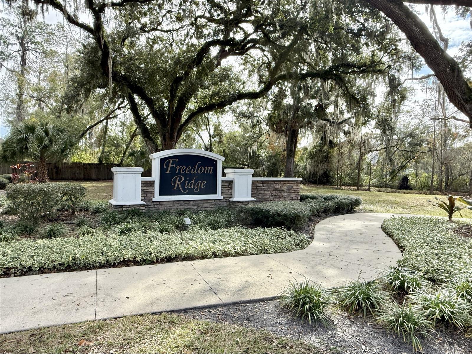 9242 Freedom Hill Dr Seffner FL 33584 TB8493490 image28