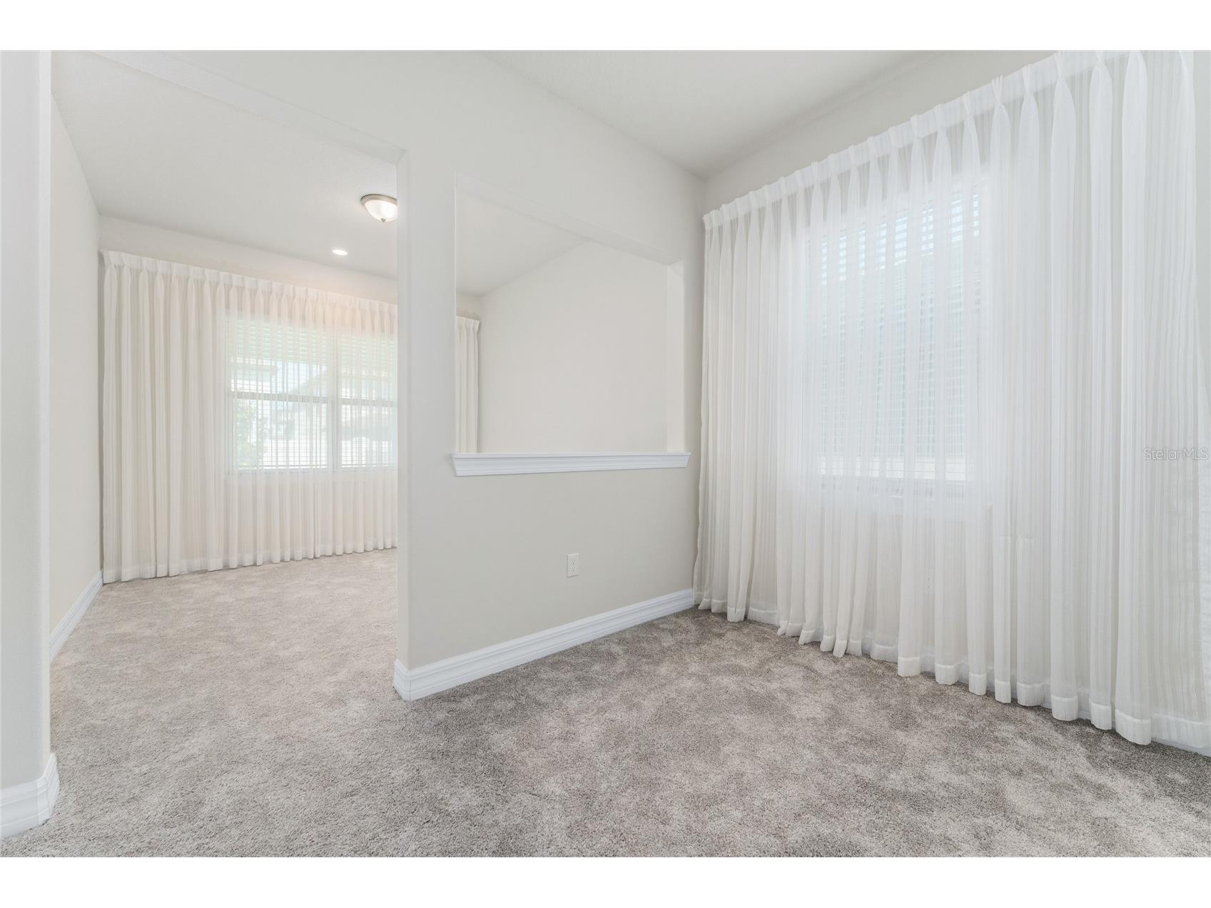 9242 Hanging Vine Court Orlando FL 32836 S5148221 image29