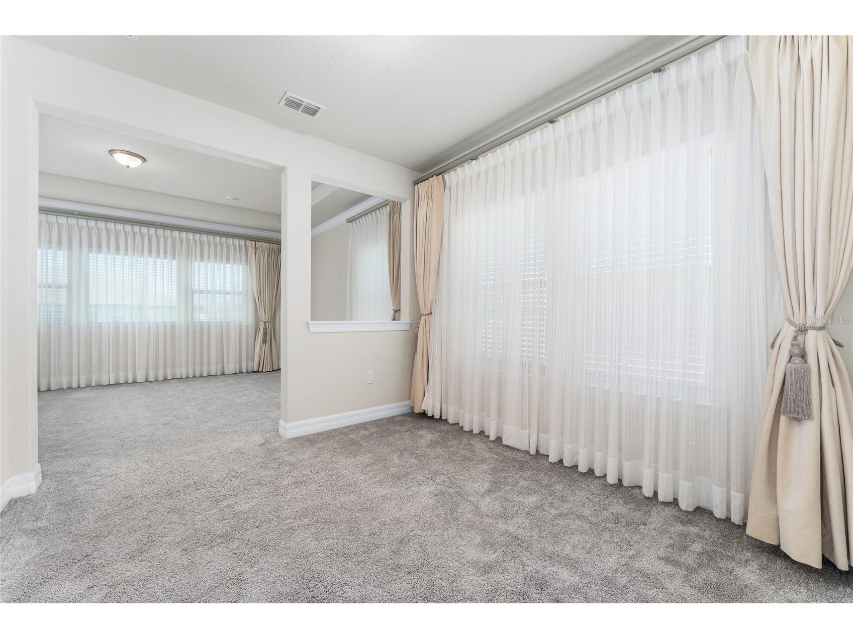 9242 Hanging Vine Court Orlando FL 32836 S5148221 image45