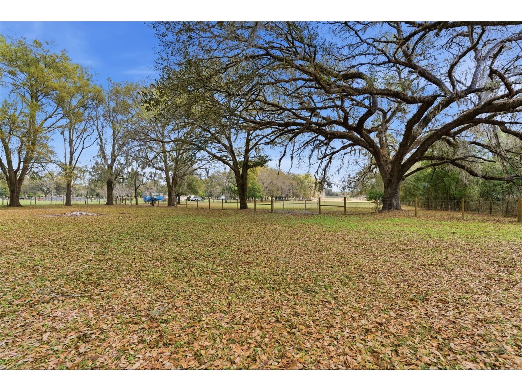 9242 Us Highway 98 Dade City FL 33525 TB8485853 image26