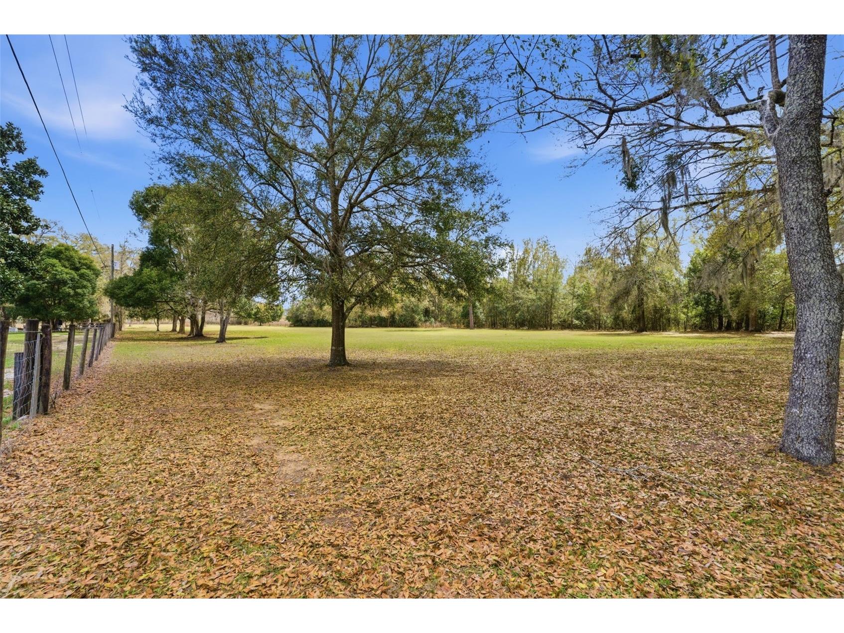 9242 Us Highway 98 Dade City FL 33525 TB8485853 image28