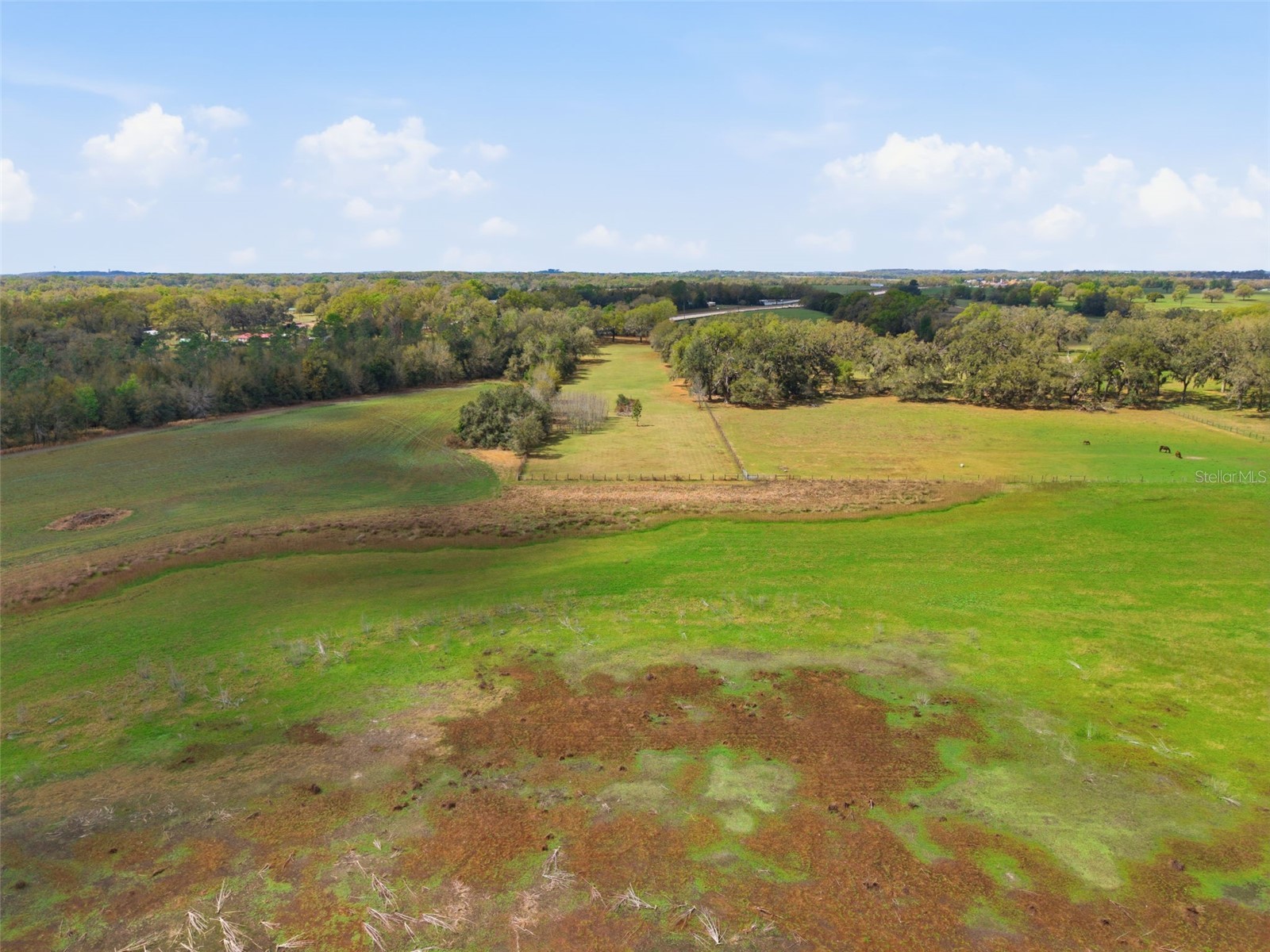 9242 Us Highway 98 Dade City FL 33525 TB8485853 image30