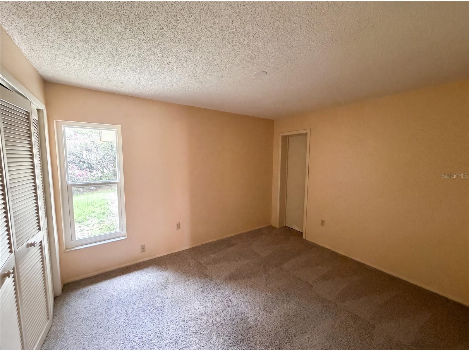 9242 Zuni Court New Port Richey FL 34655 TB8515400 image17