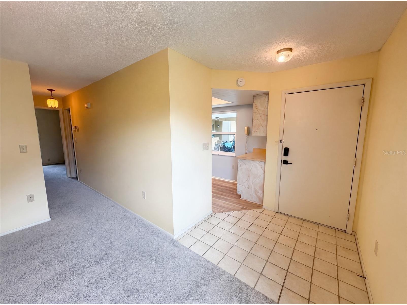 9242 Zuni Court New Port Richey FL 34655 TB8515400 image4
