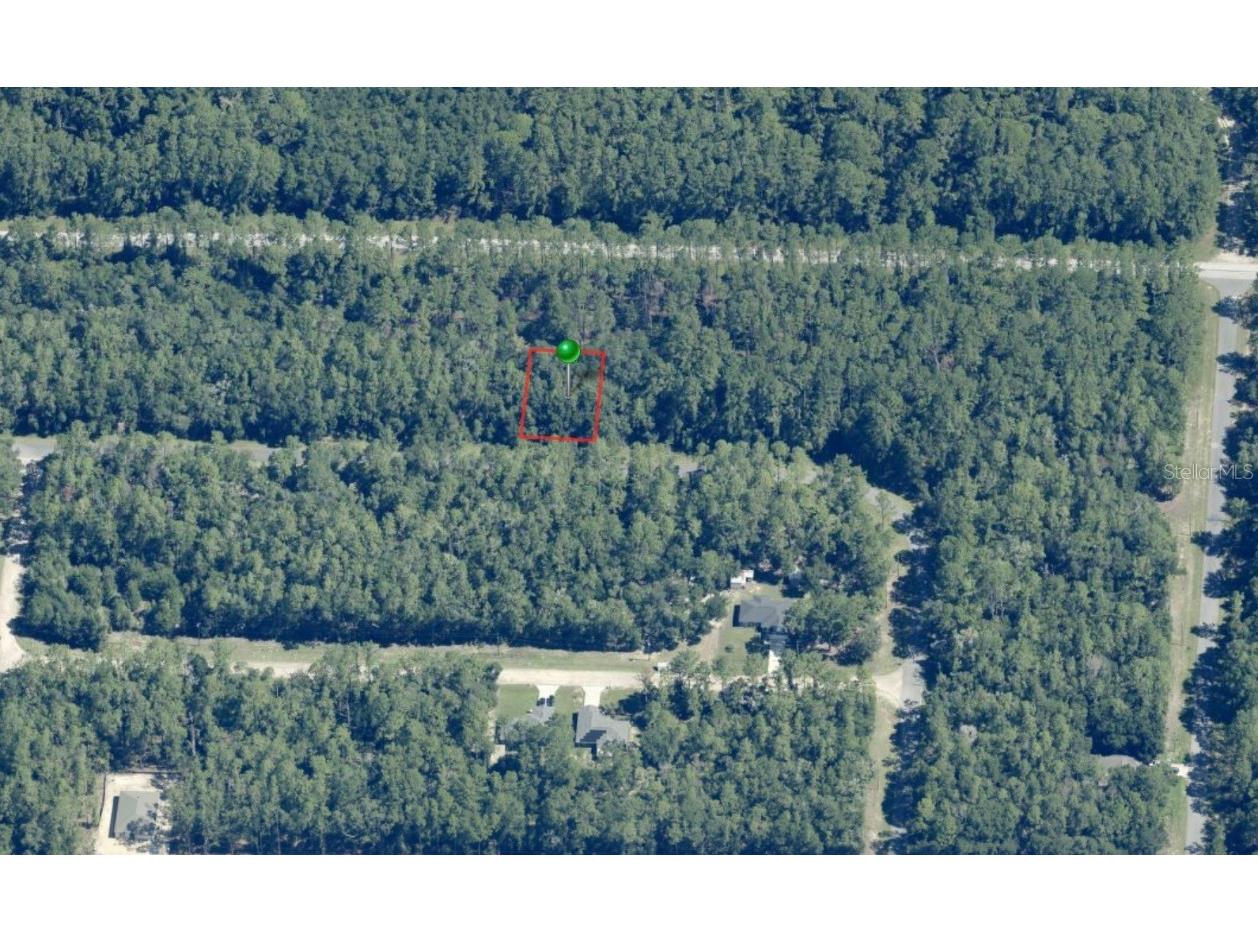 9243 N Patch Drive Citrus Springs FL 34434 OM715395 image1
