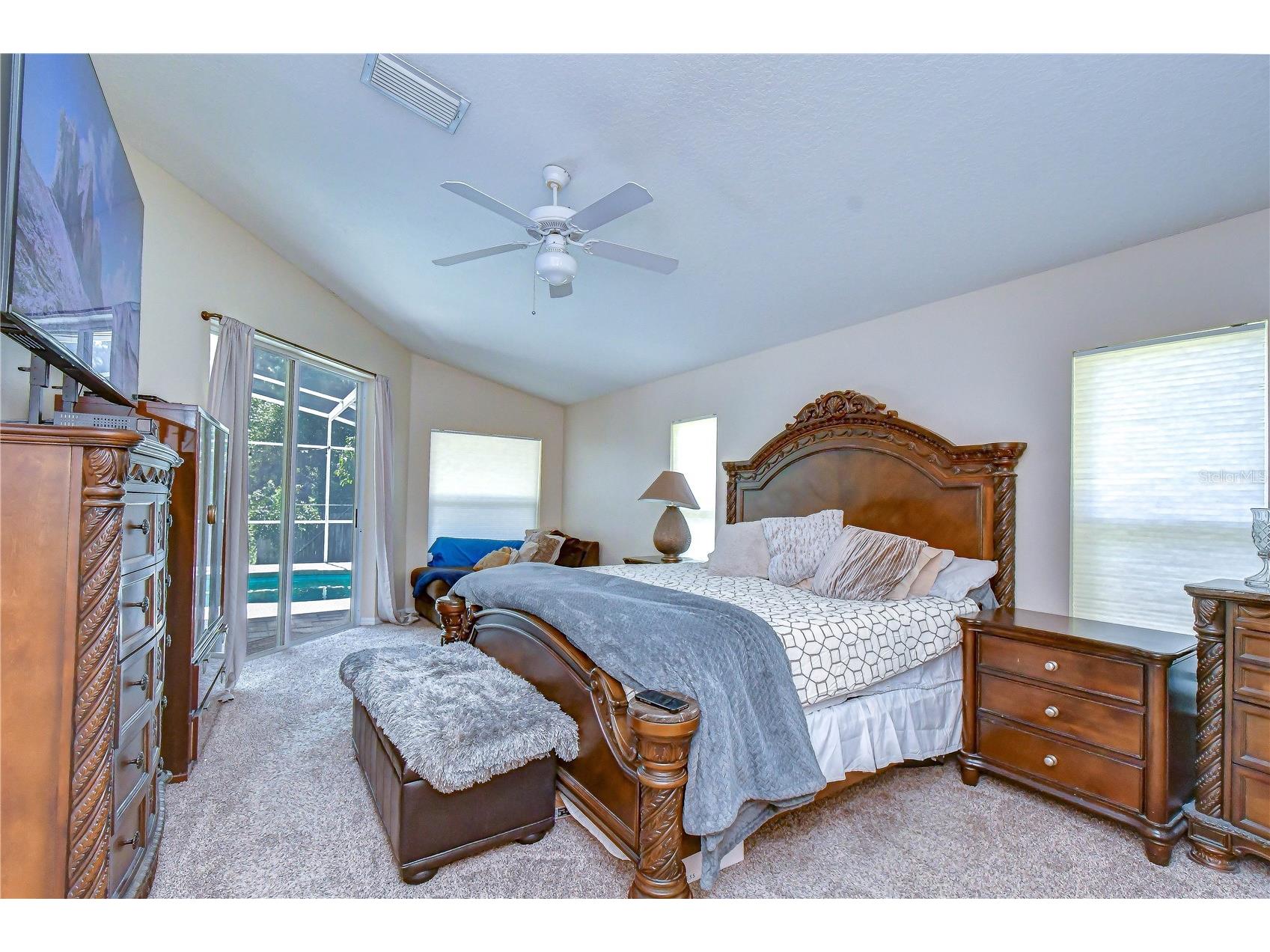 9244 Brindlewood Drive Odessa FL 33556 TB8528381 image19