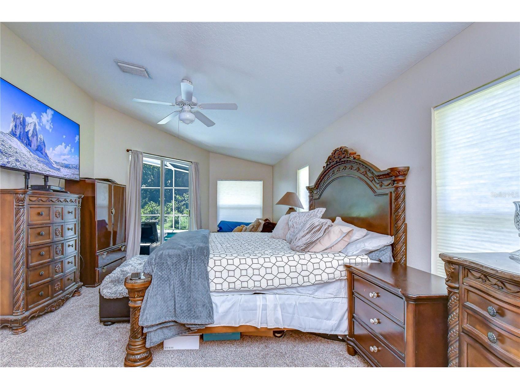 9244 Brindlewood Drive Odessa FL 33556 TB8528381 image20