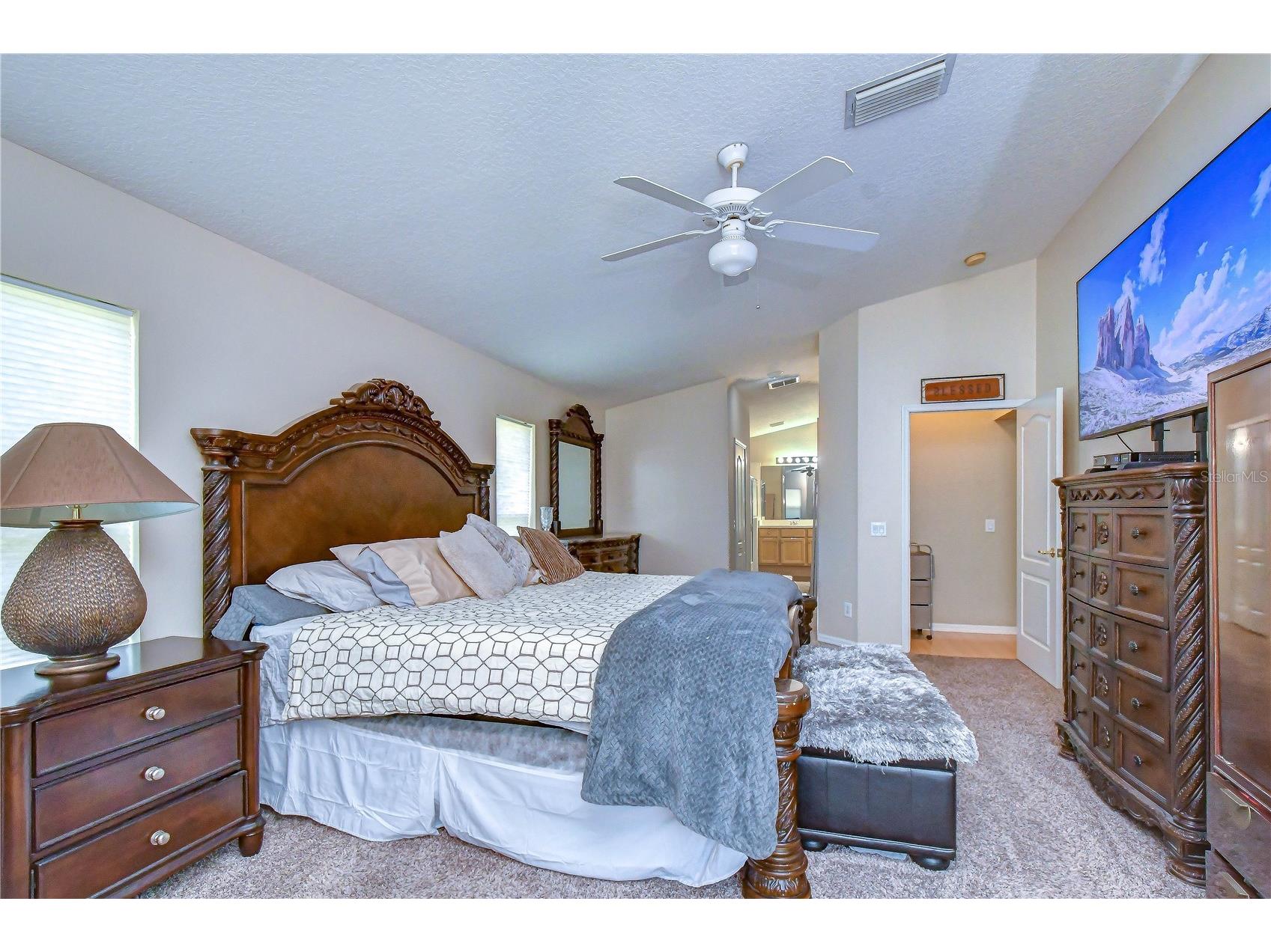9244 Brindlewood Drive Odessa FL 33556 TB8528381 image21