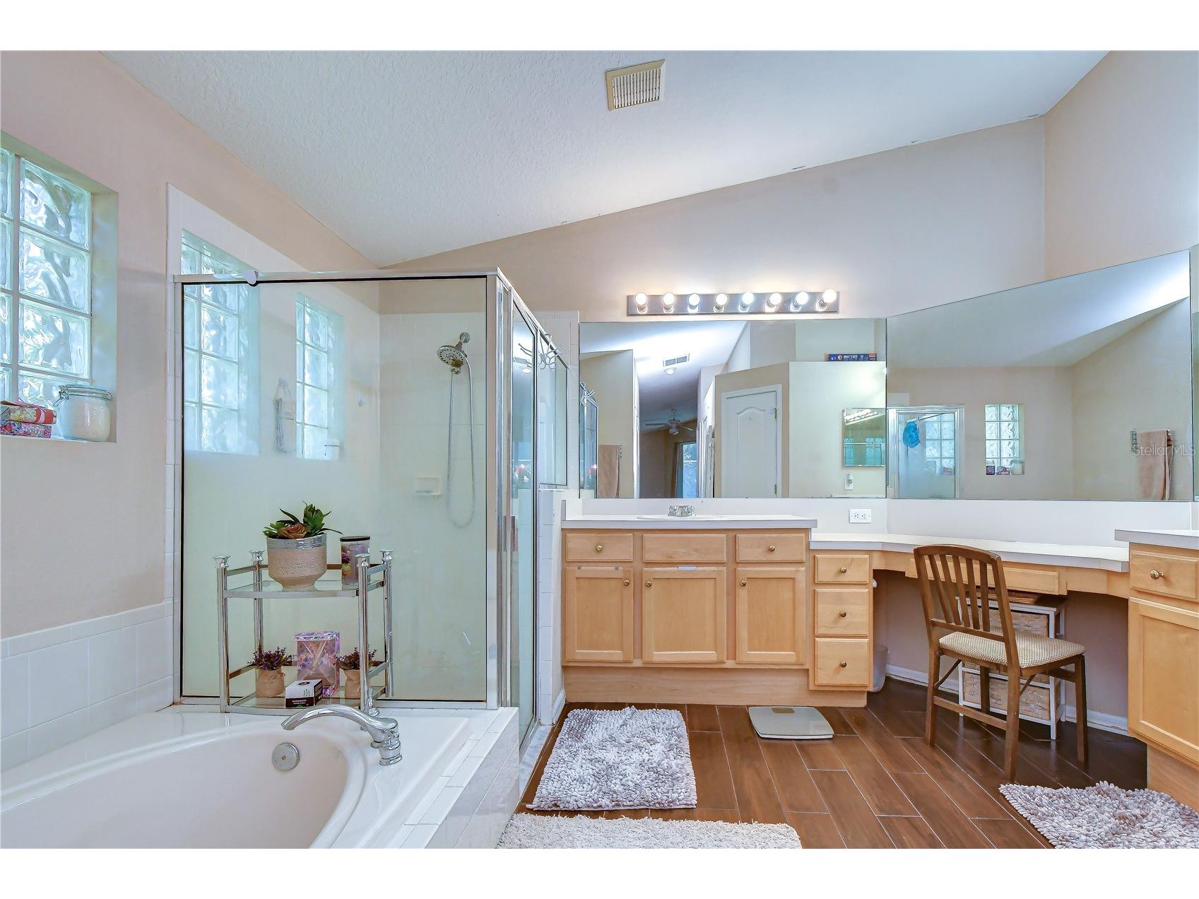 9244 Brindlewood Drive Odessa FL 33556 TB8528381 image22
