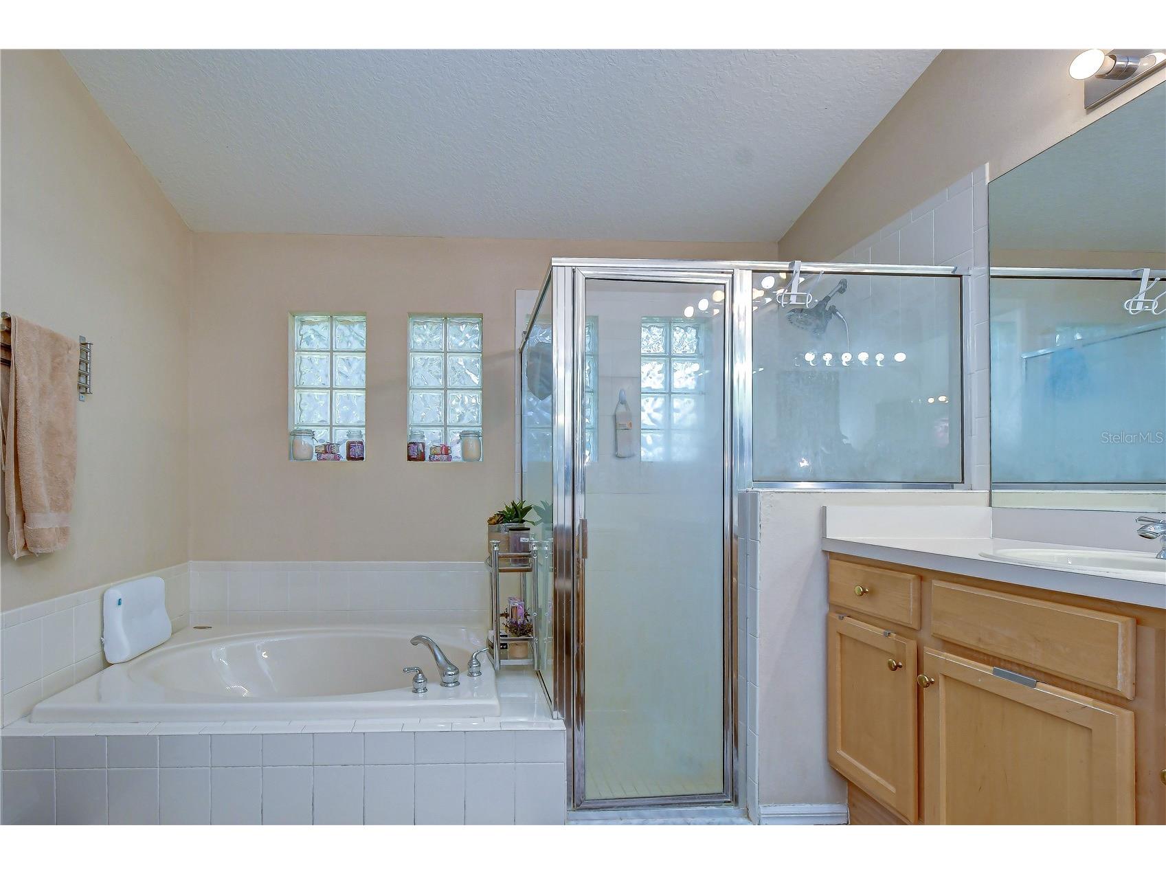 9244 Brindlewood Drive Odessa FL 33556 TB8528381 image23