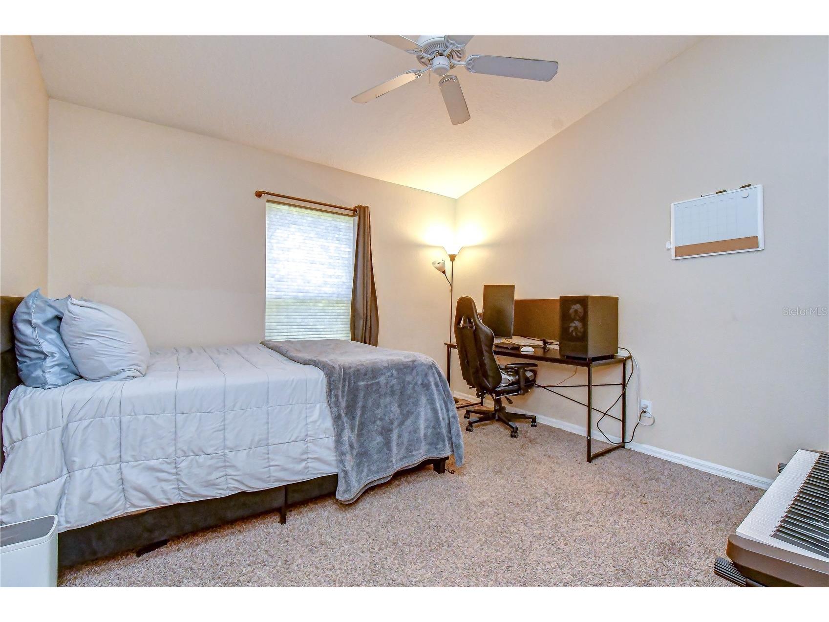 9244 Brindlewood Drive Odessa FL 33556 TB8528381 image24