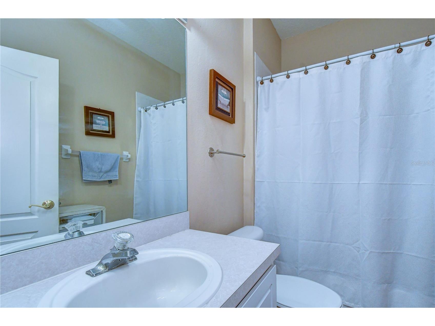 9244 Brindlewood Drive Odessa FL 33556 TB8528381 image25