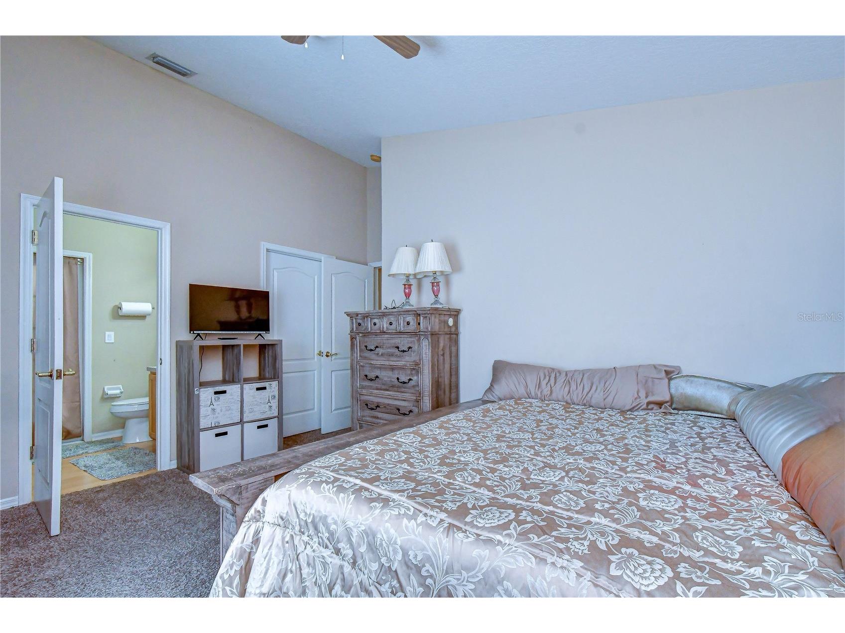 9244 Brindlewood Drive Odessa FL 33556 TB8528381 image26