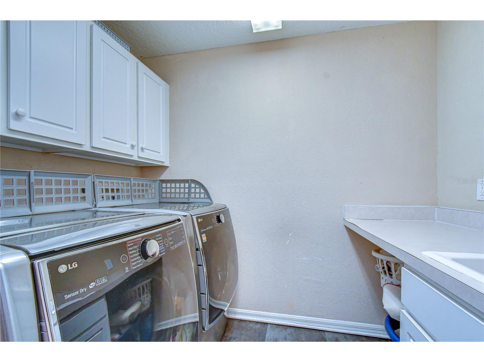 9244 Brindlewood Drive Odessa FL 33556 TB8528381 image27