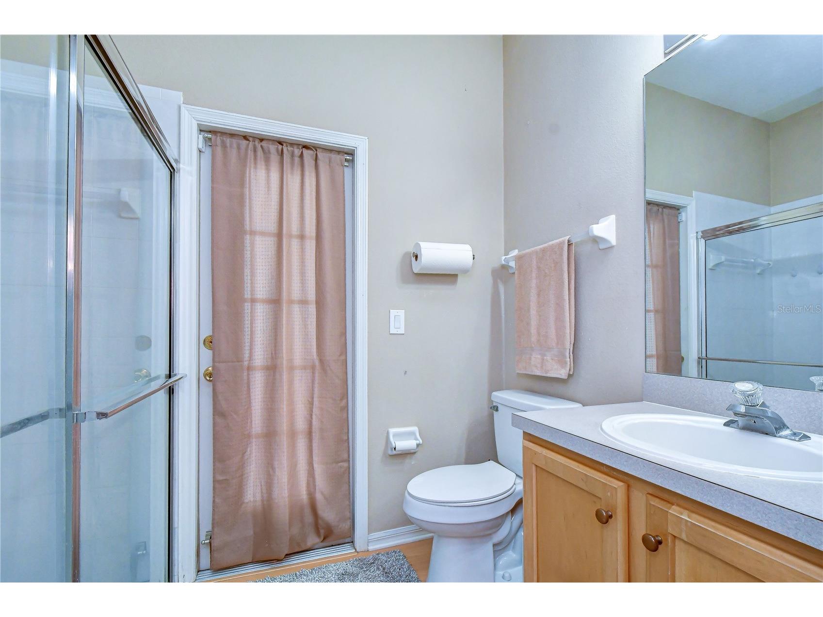9244 Brindlewood Drive Odessa FL 33556 TB8528381 image28