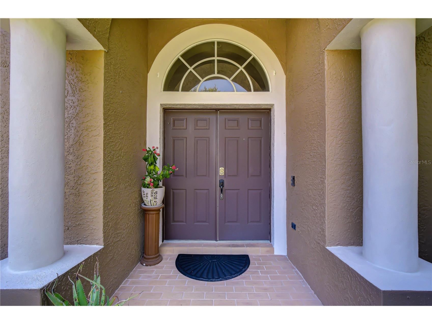 9244 Brindlewood Drive Odessa FL 33556 TB8528381 image3