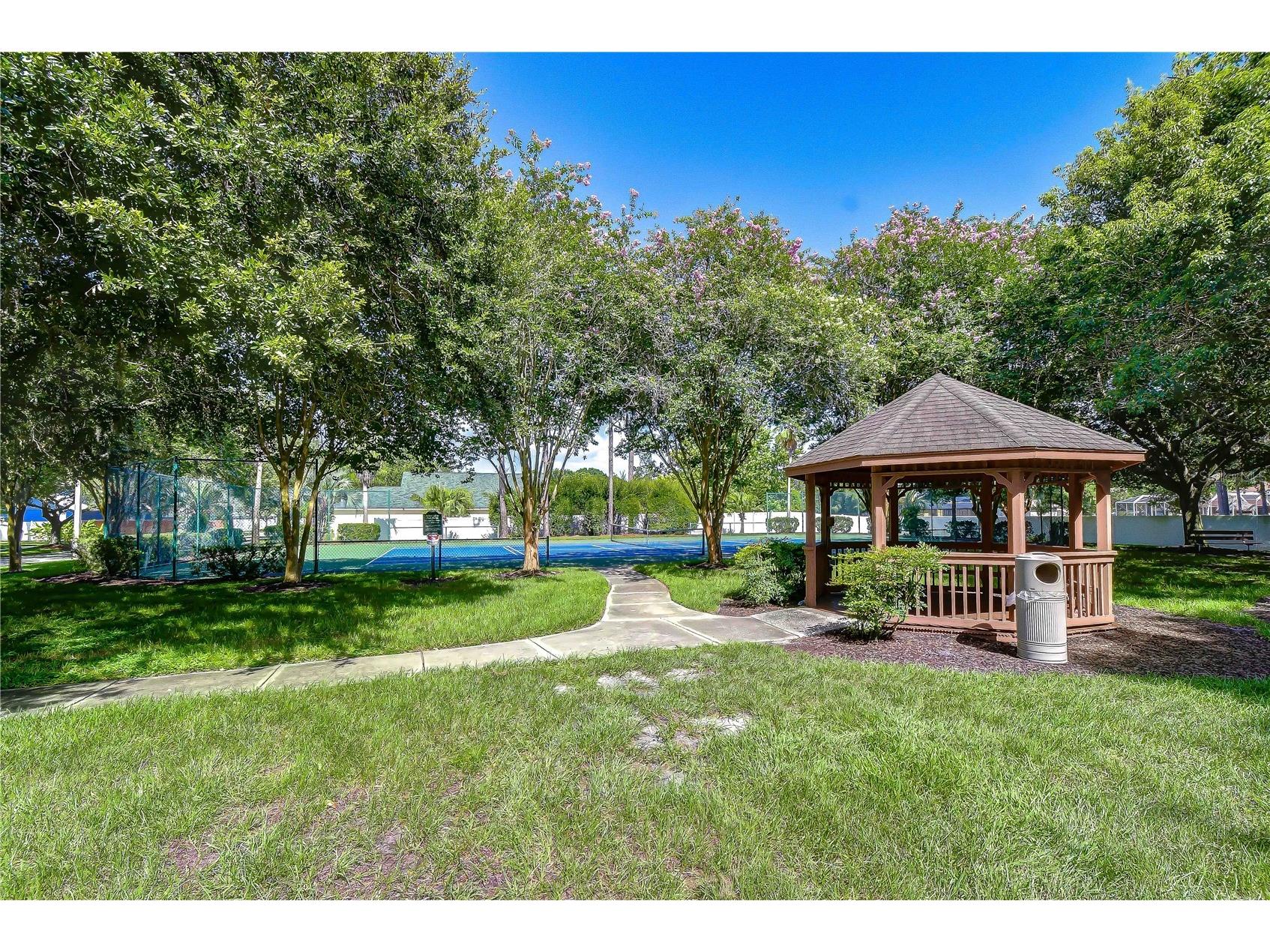 9244 Brindlewood Drive Odessa FL 33556 TB8528381 image38