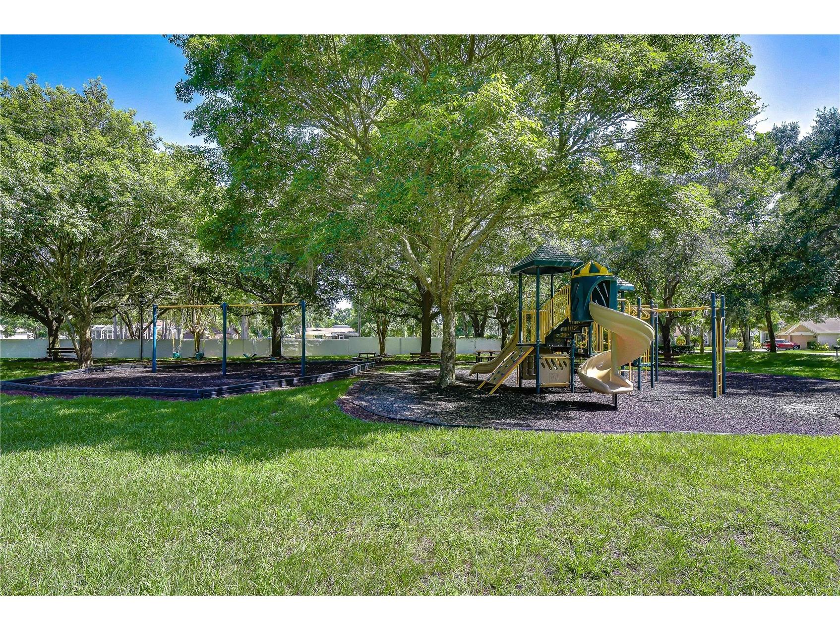 9244 Brindlewood Drive Odessa FL 33556 TB8528381 image40