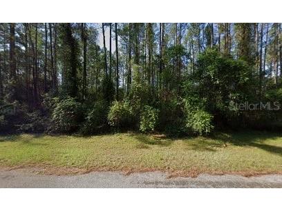 9244 N Athenia Drive Citrus Springs FL 34434 G5101005 image1
