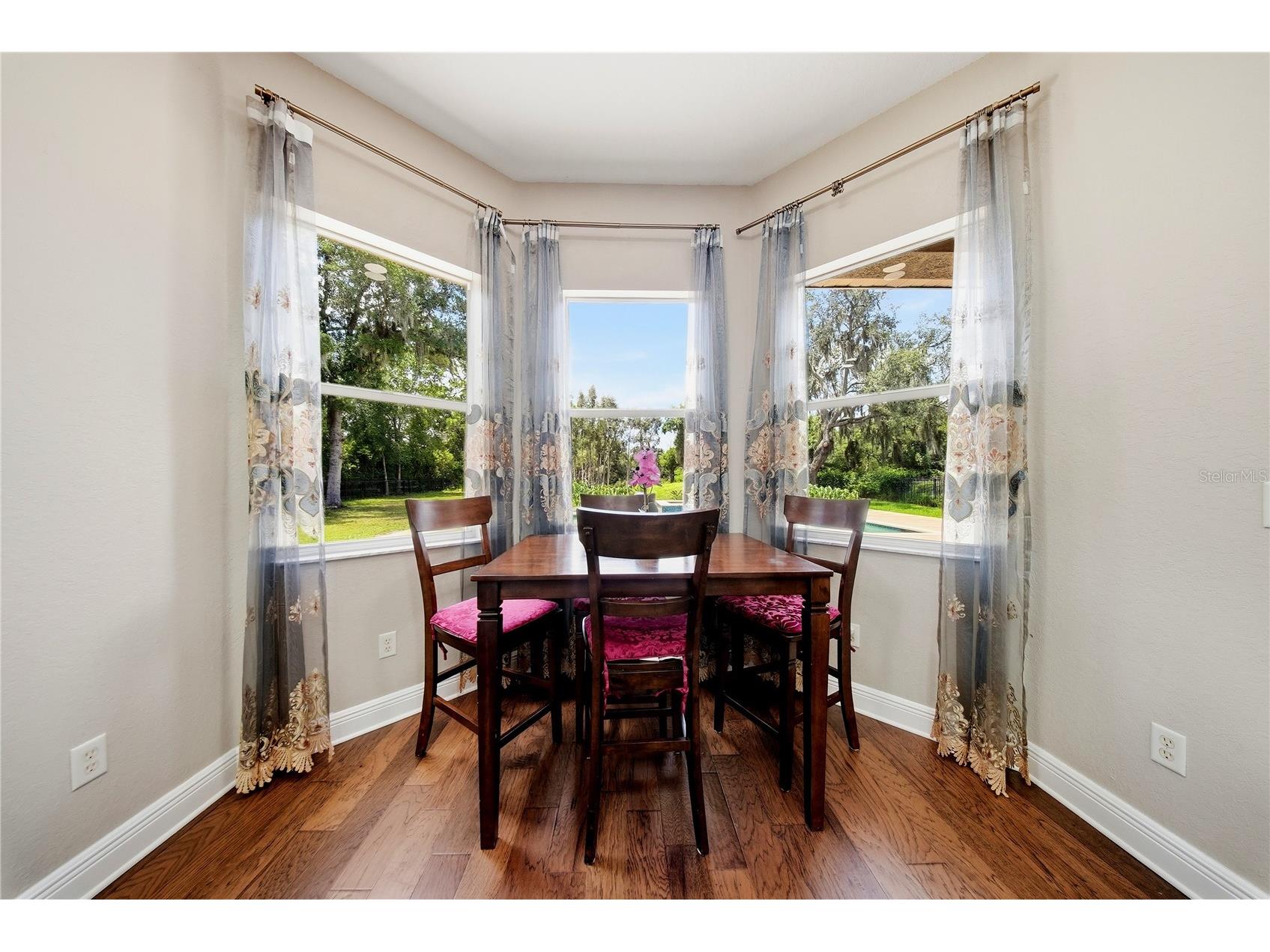 9244 Rhea Drive Odessa FL 33556 TB8517526 image10