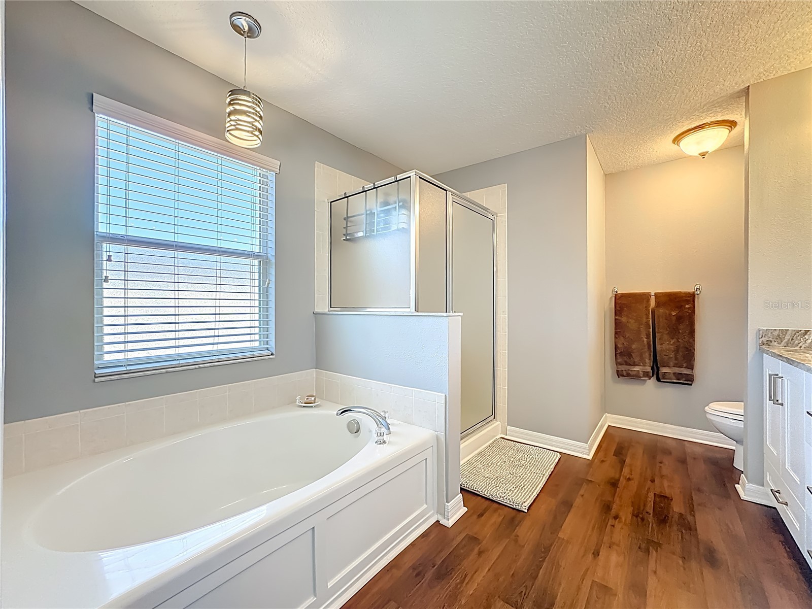 9244 River Rock Lane Riverview FL 33578 TB8488427 image28