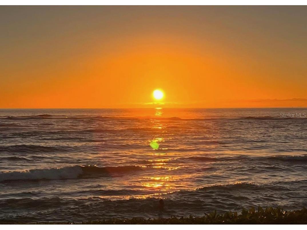 9245 Southern Breeze Drive Orlando FL 32836 - Big Sand Lake O6344799 image74