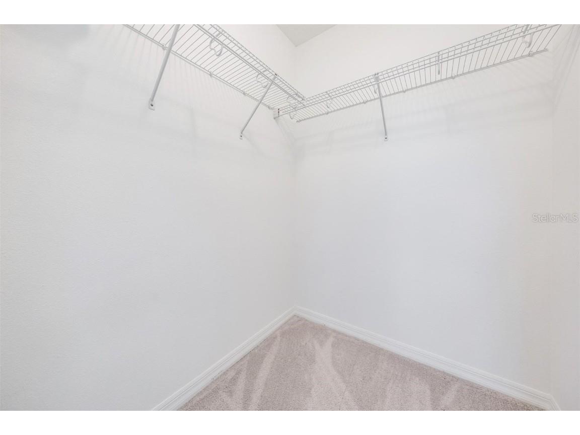 9248 Fox Sparrow Road Tampa FL 33626 TB8440807 image29