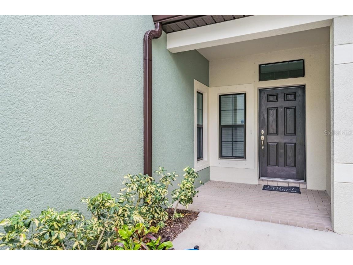 9248 Fox Sparrow Road Tampa FL 33626 TB8440807 image6