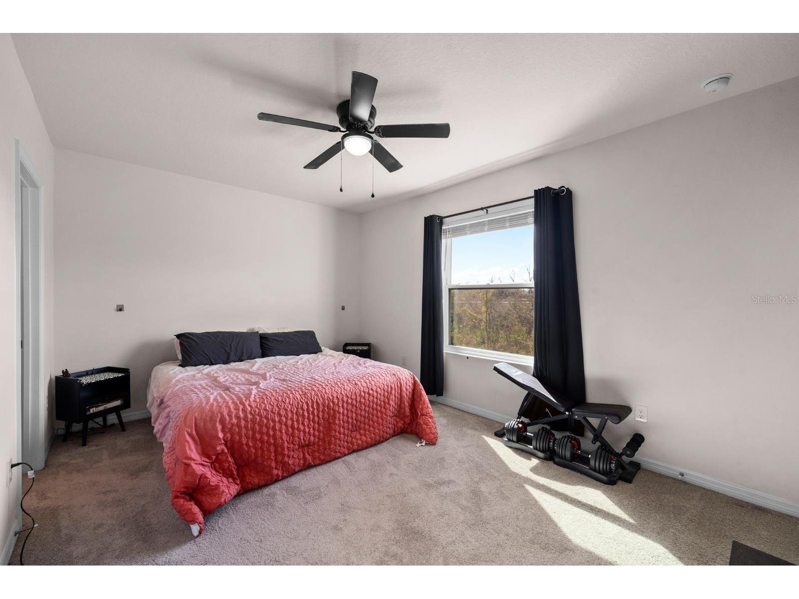 9248 Rock Harbour Way Tampa FL 33637 TB8463853 image12