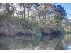 9249-9297 Carr Road Riverview FL 33569 - ALAFIA RIVER TB8491656 image3